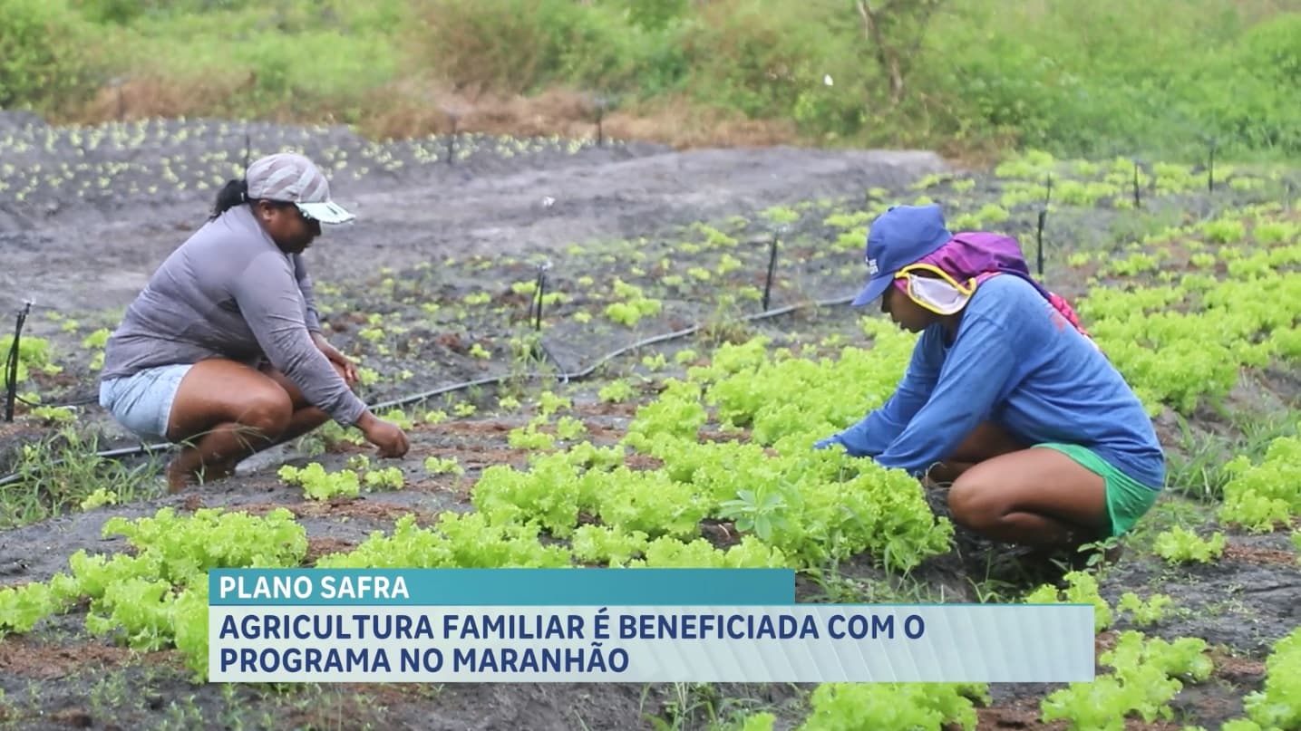 Agro Record: Plano Safra beneficia agricultura familiar no Maranhão