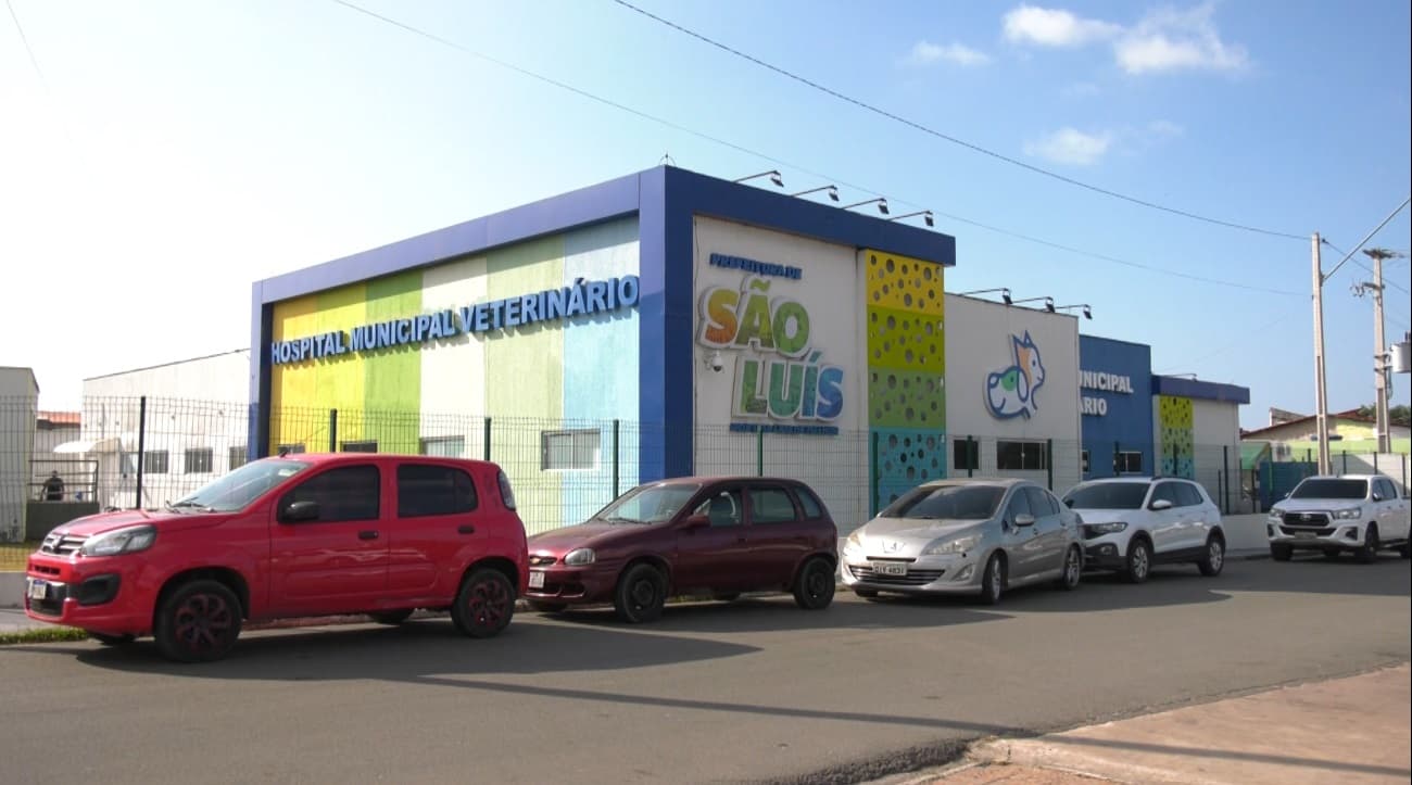 Profissionais relatam salários atrasados, mudanças nos contratos e falta de informações; paralisação preocupa quem depende do atendimento.