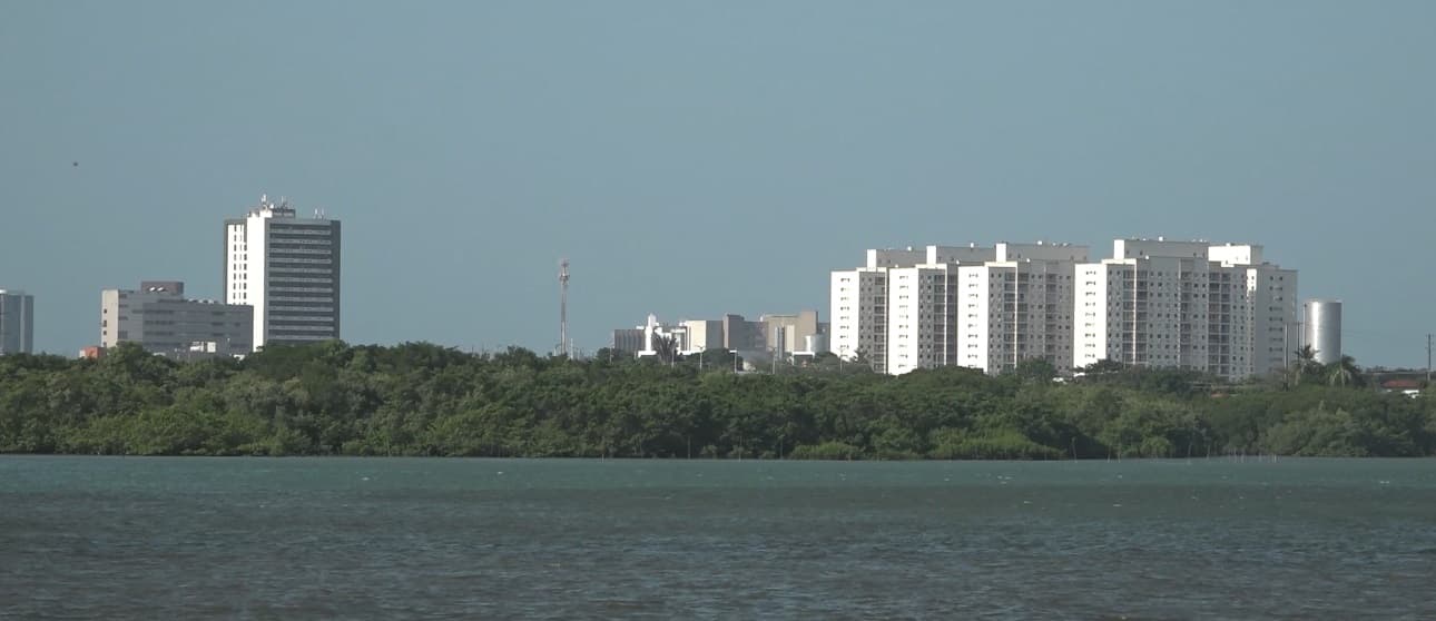 Falta de arborização afeta conforto térmico e qualidade de vida em São Luís