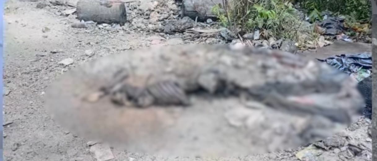 Corpo em avançado estado de decomposição é encontrado em área de mato na Vila Maranhão