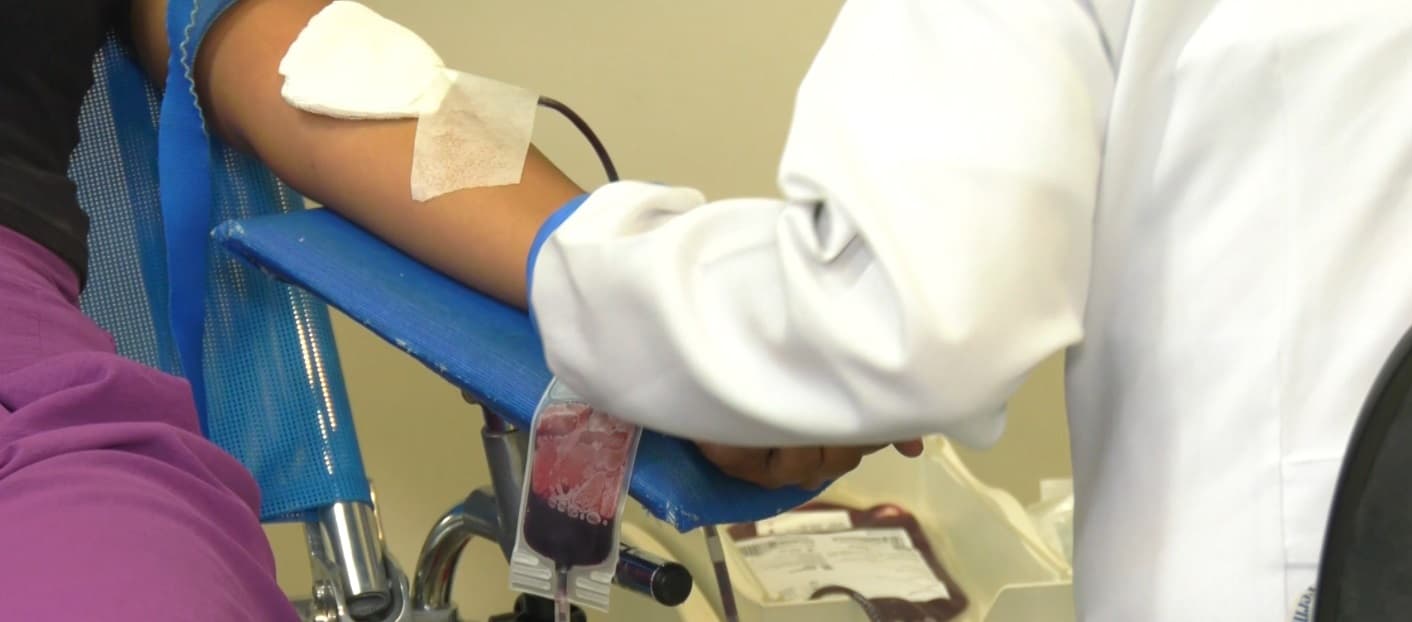 Campanha de doação de sangue mobiliza alunos e voluntários em São Luís