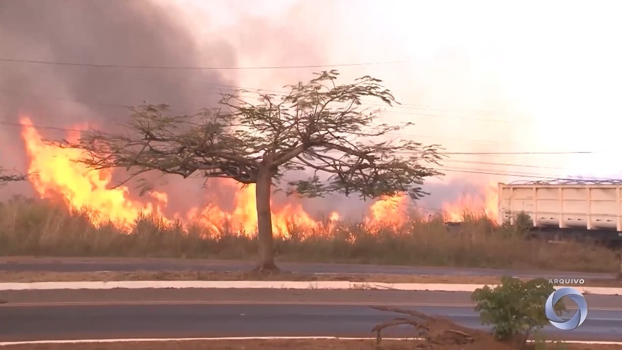 Governo do Maranhão proíbe uso do fogo para limpeza e manejo de terrenos