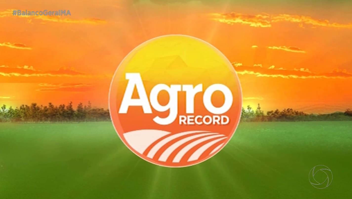 Agro Record: destaca feiras de São Luís, cuidados com aves no calor e tradição da vaquejada