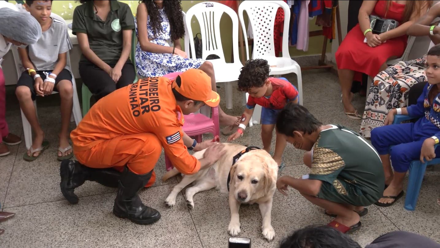 Projeto do Corpo de Bombeiros do Maranhão leva cães a crianças em tratamento hospitalar