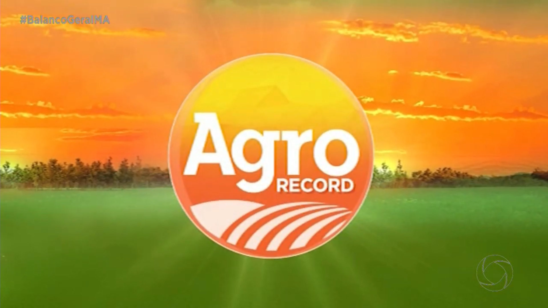Agro Record: Maranhão é o 3º maior produtor de peixes redondos do país