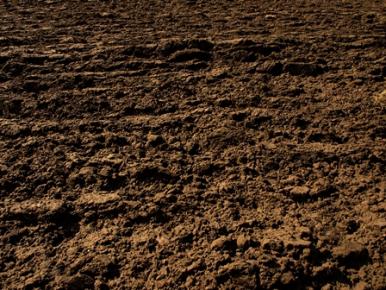Argila rara que corrige acidez do solo foi descoberta no Maranhão