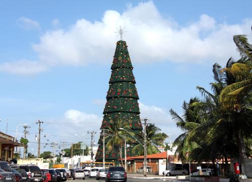 Expectativa para inauguração da maior árvore de natal já instalada em São Luís