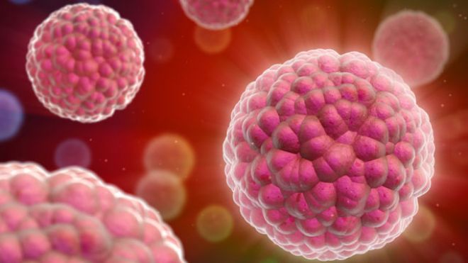 Molécula do sistema imunológico recém-descoberta pode parar o crescimento de melanoma