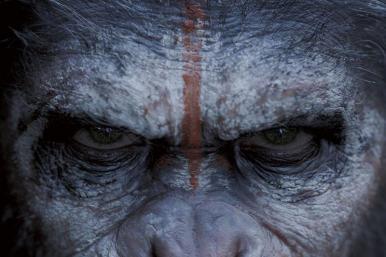 Dawn Planet Apes on Dawn Of The Planet Of The Apes Poster A P Grande Jpg