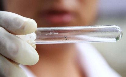 Brasil tem mais de 1 milhão de casos de dengue