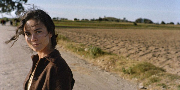 Alice Braga participa do novo filme de Walter Salles
