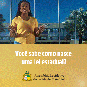 Você sabe como nasce uma lei?