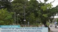 São Luís: trabalho de limpeza e poda é realizada diariamente pela prefeitura 