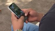 Caso do cão "Vigilante" gera discussão sobre ofensas no ambiente virtual