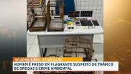 Preso suspeito de tráfico de drogas e crime ambiental na zona rural de São Luís