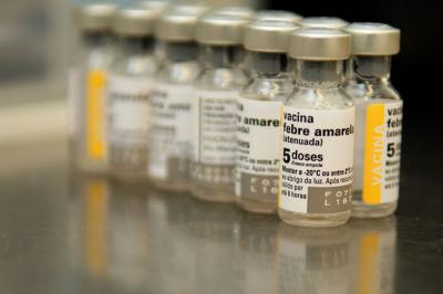 Brasil sedia evento internacional para combater febre amarela