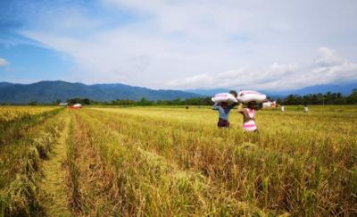 5 maneiras de usar o poder de compra para proteger a biodiversidade