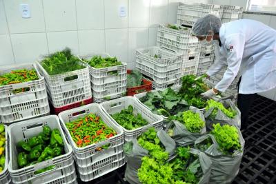 Banco de Alimentos receberá mais de 7 toneladas de doação da agricultura familiar