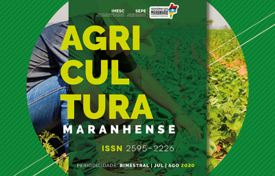 Maranhão bate recorde em produção de grãos em 2020