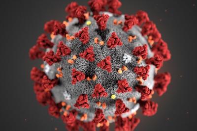 coronavirus