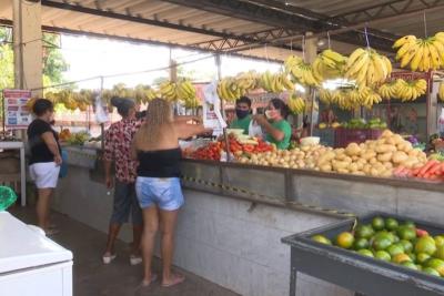 MA: manual orienta realização de feiras em tempos de pandemia