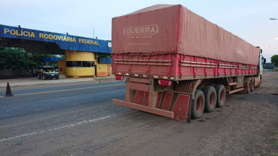 PRF apreende 35m³ de madeira transportada ilegalmente na BR-010