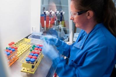 Anvisa autoriza a realização de testes de soro anticovid em humanos