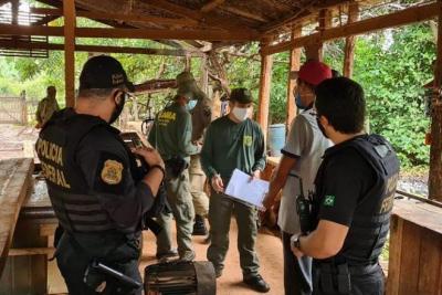 Operação combate extração de madeira em terra indígena no MA