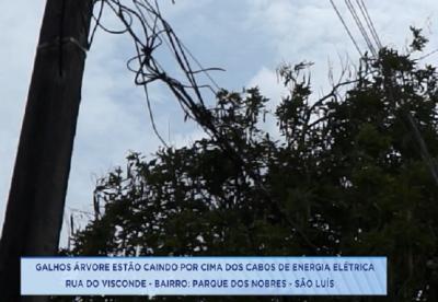 Árvore atinge rede elétrica e preocupa moradores em São Luís