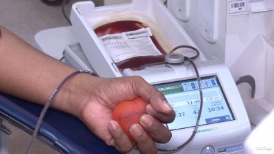 Hemomar está com estoque de sangue à beira do colapso