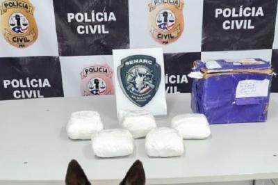 Polícia Civil conduz suspeita de tráfico de drogas em São Luís
