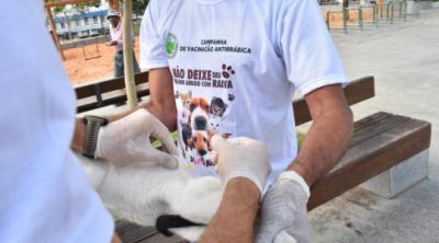 Campanha de vacinação antirrábica chega aos bairros Cohab e Tirirical neste sábado (11)