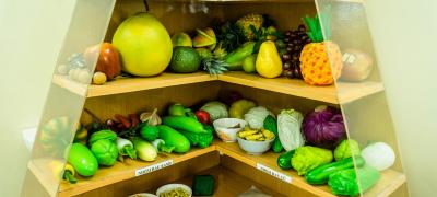 Técnica avalia se vitamina A é consumida em excesso