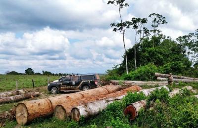 PF combate crimes ambientais em terras indígenas no MA