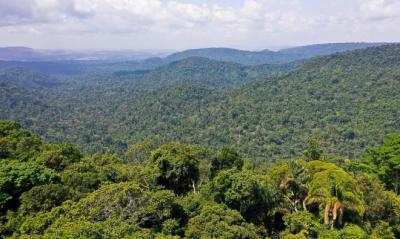 PF desarticula quadrilha que extraía ouro de terra indígena no Pará