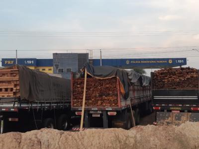 Santa Inês: PRF apreende mais de 400m³ de madeira ilegal