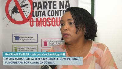 Maranhão já tem mais de 7 mil casos de dengue em 2022