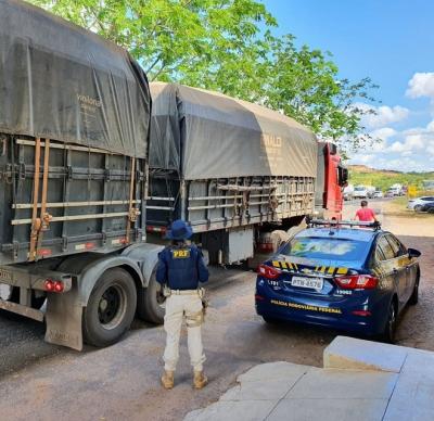 PRF apreende carga transportada ilegalmente na BR-135