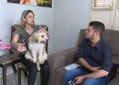 Família reencontra cachorro levado durante assalto em São Luís