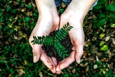 Neste fim de ano, use essas 7 ideias para presente e proteja o meio ambiente