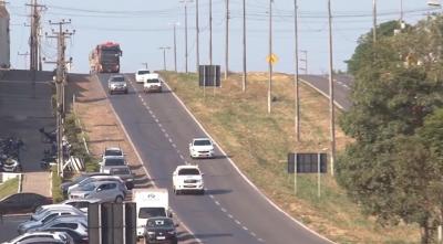 Especialistas alertam para cuidados com transporte de cagas