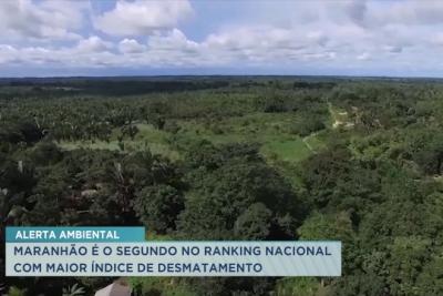 Maranhão é o 2ª Estado com maior desmatamento do Cerrado