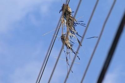 Mais de 300 acidentes envolvendo pipas na rede elétrica são registrados no MA