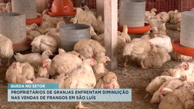 Mercado registra diminuição nas vendas de frangos em São Luís