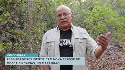 Nova espécie de mosca é descoberta em Caxias por pesquisador maranhense