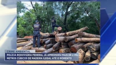 PRF já apreendeu mais de 2 mil metros cúbicos de madeira ilegal neste ano