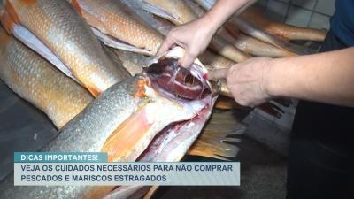 Semana Santa: confira dicas e cuidados para não comprar pescados estragados 