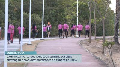 Caminhada sensibiliza sobre prevenção e diagnóstico precoce do câncer de mama