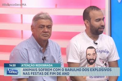 Vem Comigo: como os fogos de artifício afetam os animais