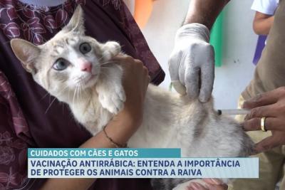 Campanha de Vacinação Antirrábica no Anjo da Guarda